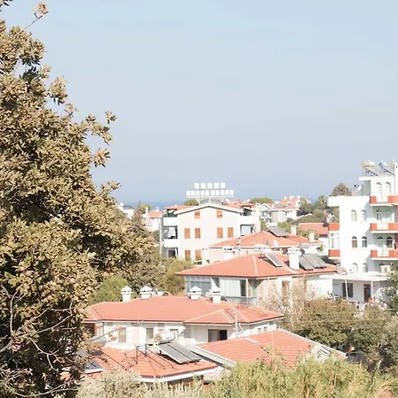 Cozy 1 Bedroom Apartment With Balcony דירה *